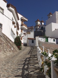 PA302163.JPG