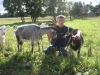 «В молочном тупике», или Как погибают мелкие фермерские хозяйства 