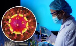 Дежурные центры семейных врачей начнут направлять на тест на коронавирус по выходным 