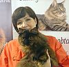 В Ору прошла международная выставка кошек